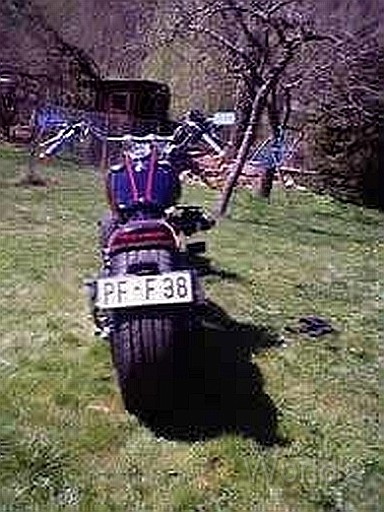 SBSother 008.jpg